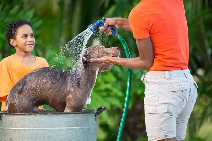 PVC Garden Hoses Made in Vietnam – Your Durable, Smart Choice